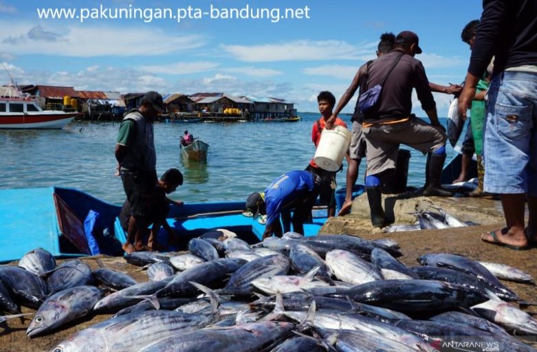 Ilmu Perikanan: Mengelola Sumber Daya Laut